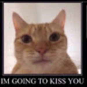 Meet your Posher, -carson